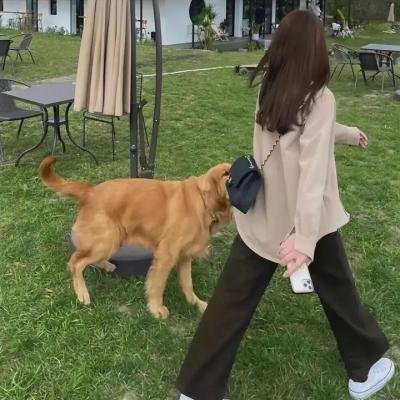 好莱坞庄园 在线观看